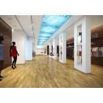 Parkett Eiche Amazon Molti