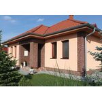 COUNTRY 668, concrete brick tile