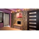 stegu RUSTIK 526 Ziegelriemchen für außen