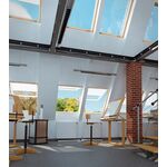 FAKRO FEP P2 | panoramic, wooden window with double glazing