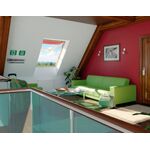 FAKRO FEP P2 | panoramic, wooden window with double glazing