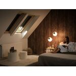 VELUX GLL-B 1061 | wooden, pivot roof window with 3-glazing and bottom handle