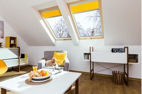 FAKRO FTT U6 | super energy saving pine roof window